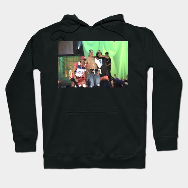 Nelly Photograph Hoodie by Concert Photos